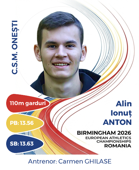 Prezentare Anton Alin.fw